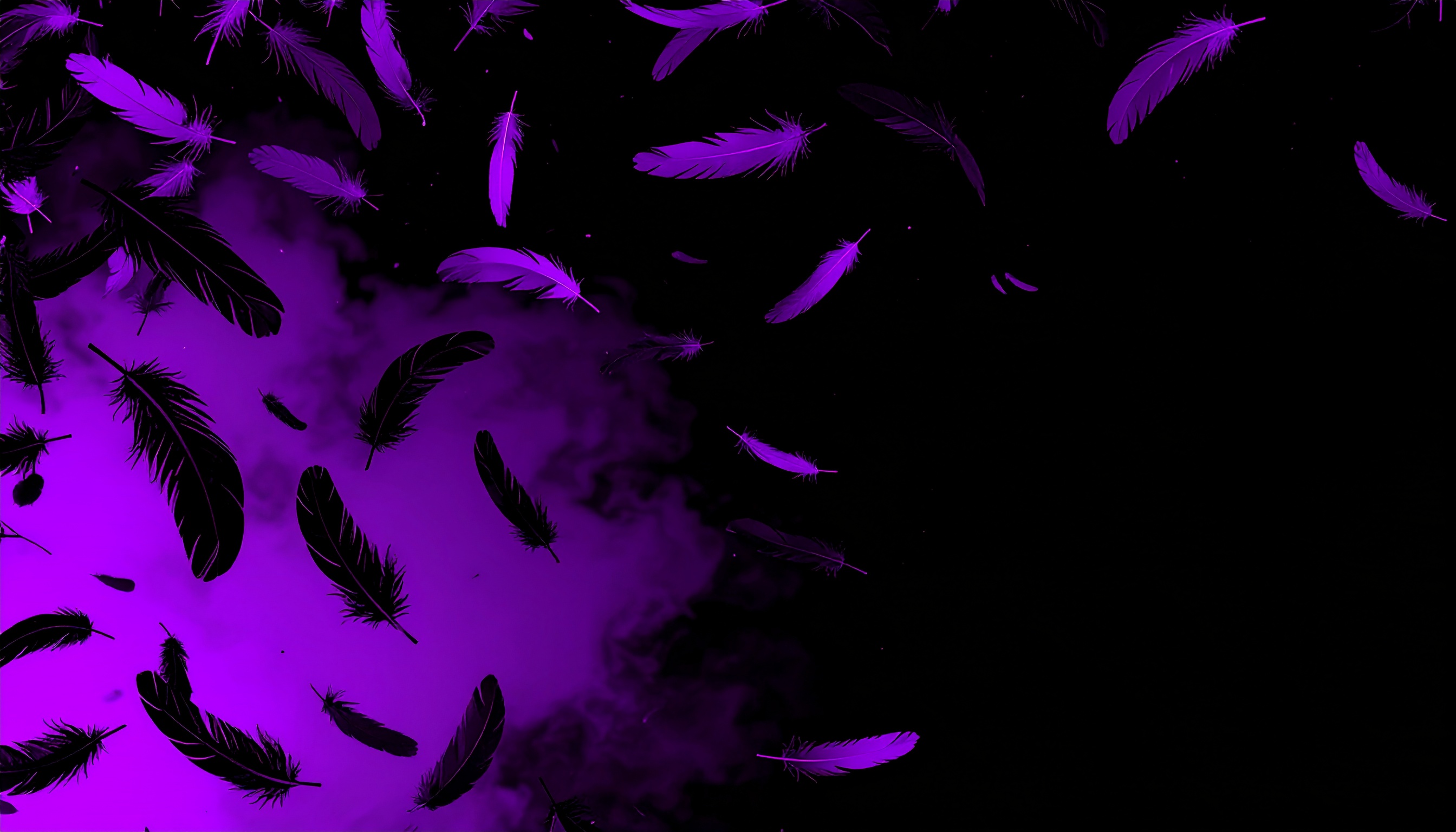闇系の黒紫の背景フリー素材