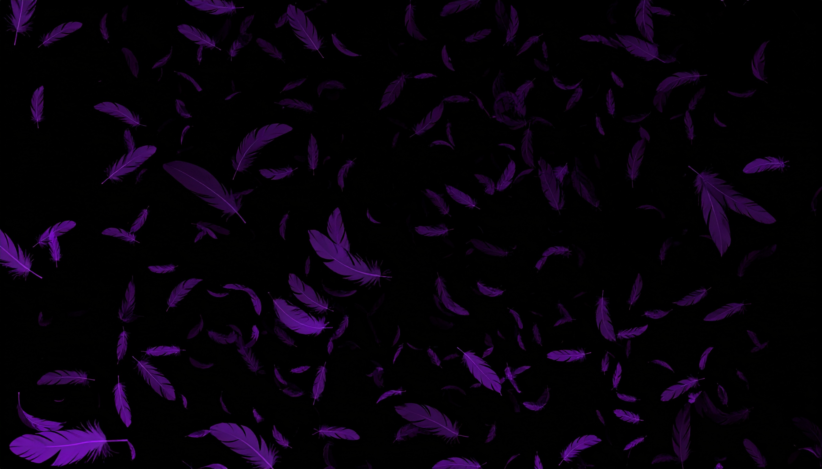 闇系の黒背景フリー素材