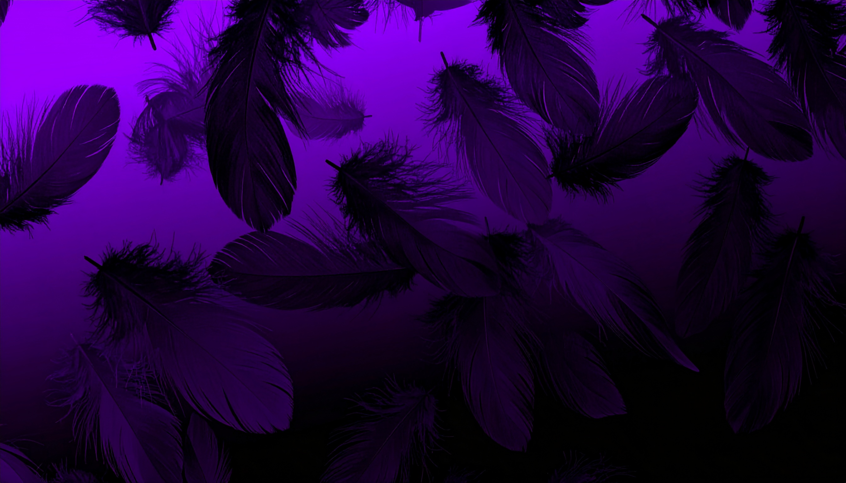 闇落ち・堕ちた黒紫の高画質な背景イラスト