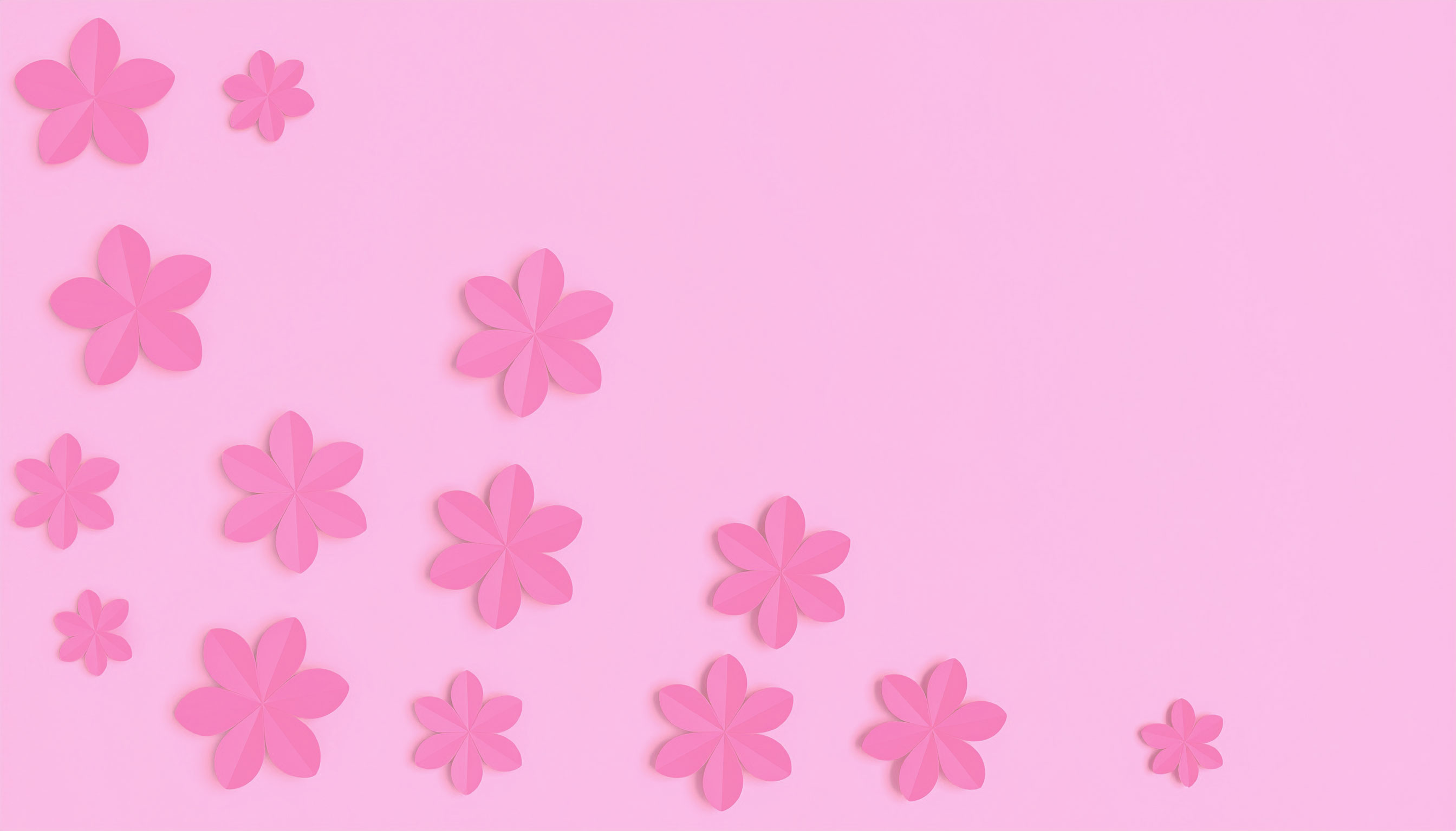 灰色の花のシンプルな灰色背景画像