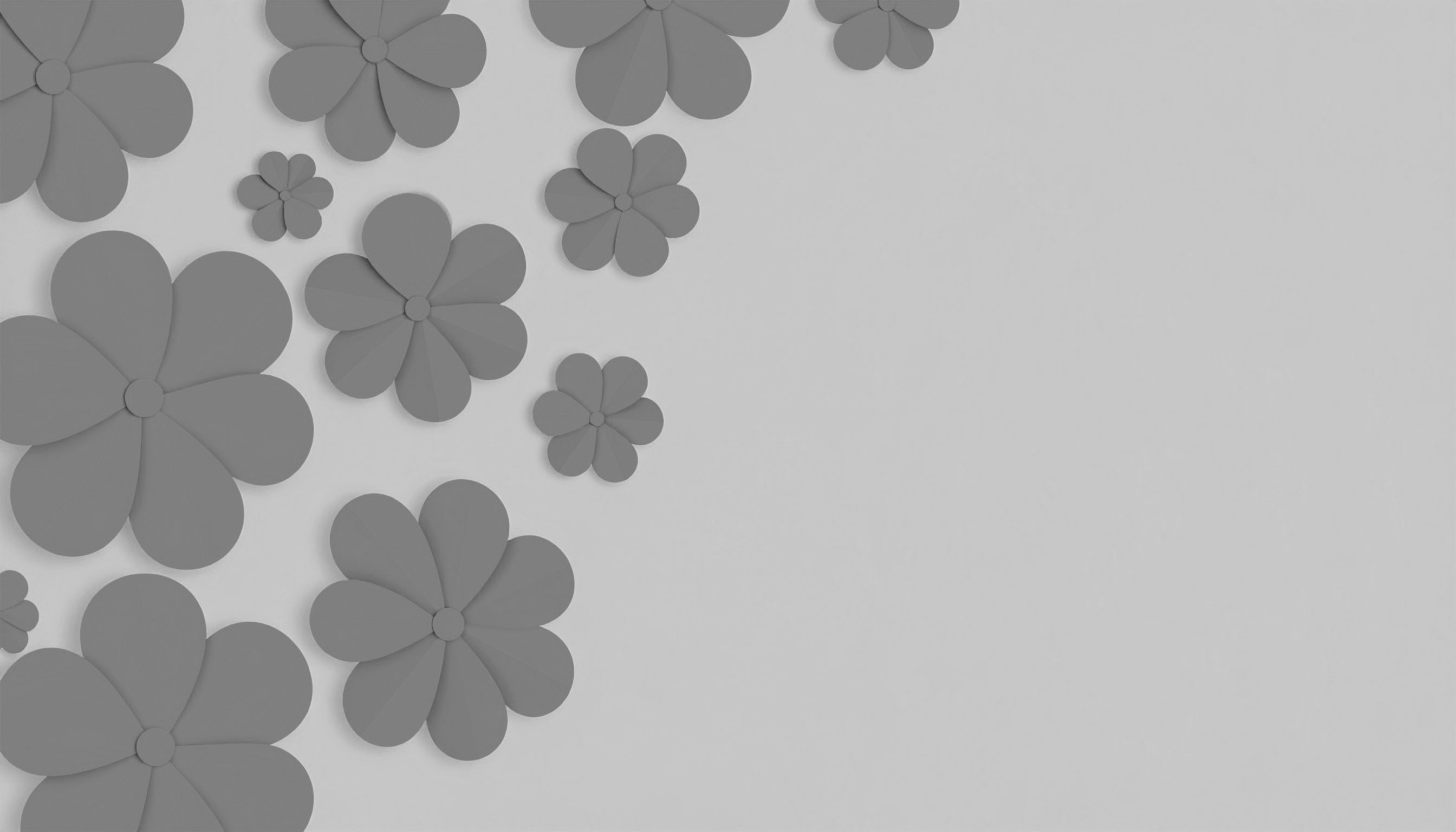 灰色の花のシンプルな灰色背景画像