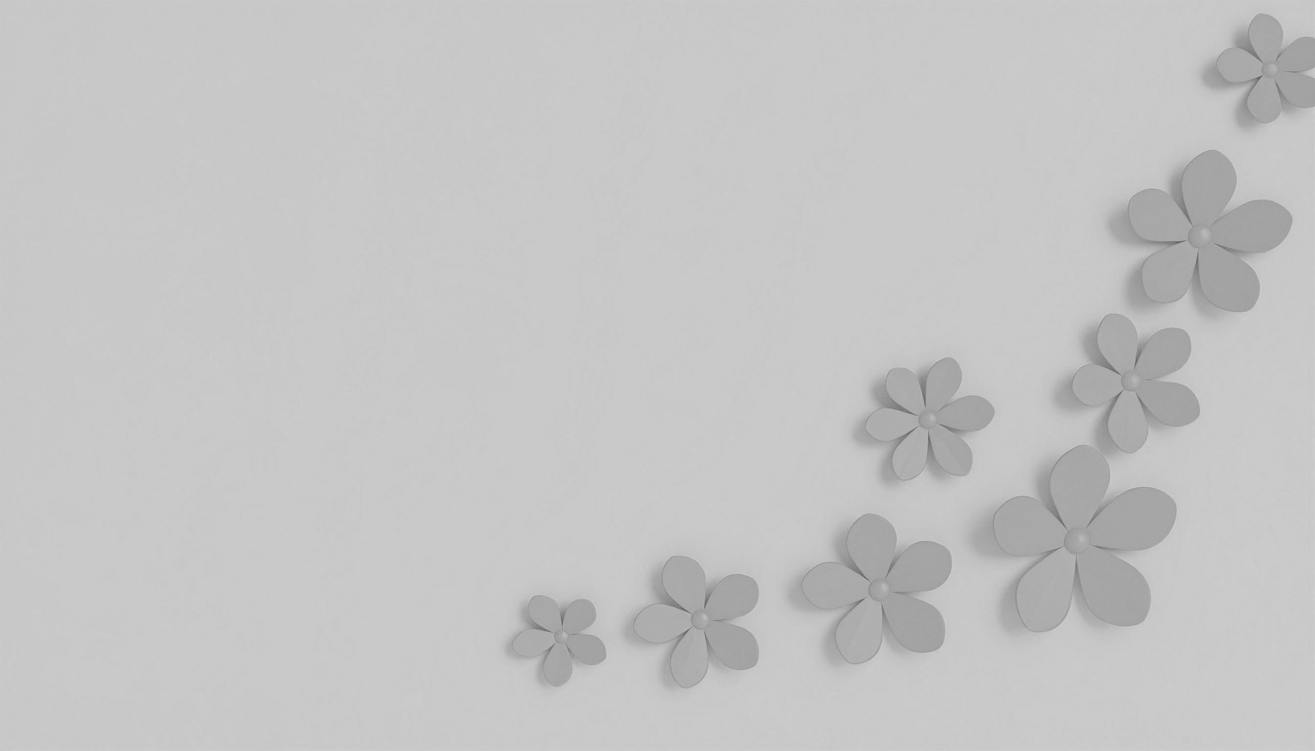グレーの花のシンプルなグレー色背景画像