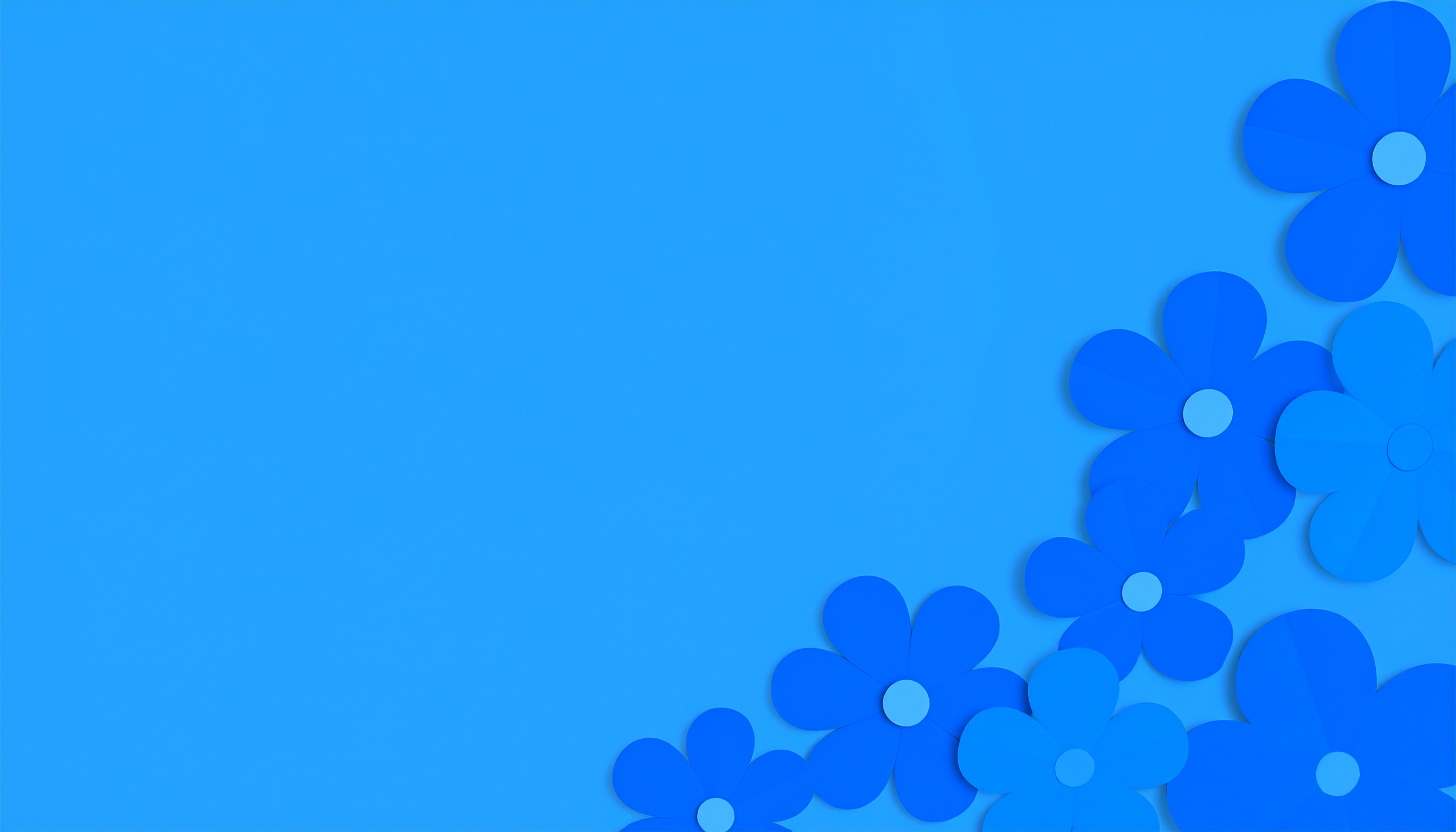 青い花のシンプルな青色背景画像